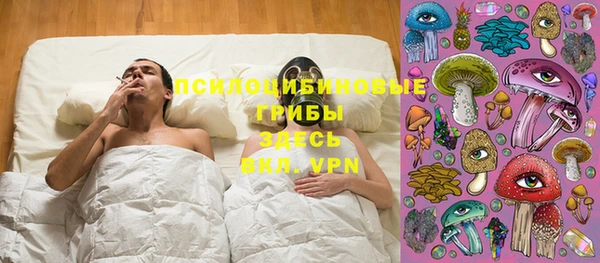 apvp Нефтекумск